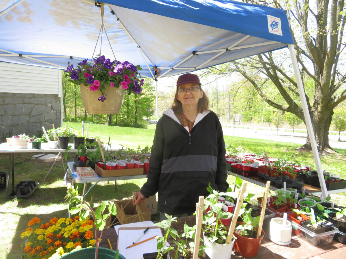 Carol Ritter volunteers for the plant sale.
