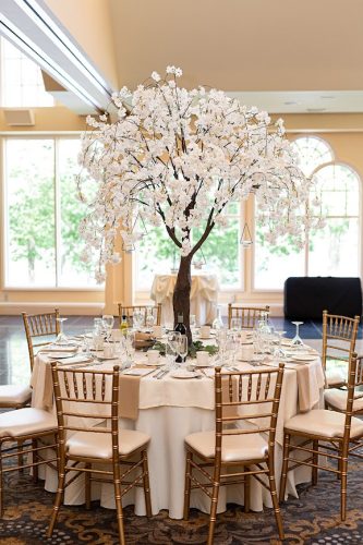 Cherry-Blossom-Tree