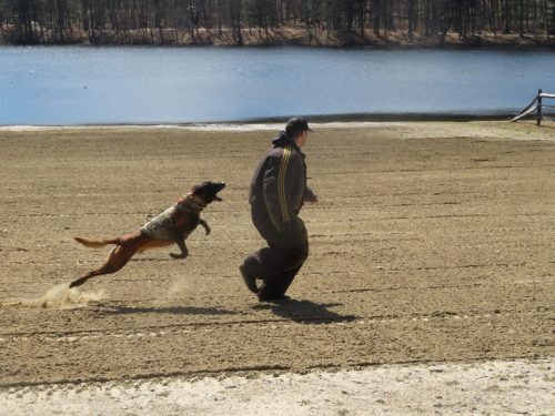 IMG 9079